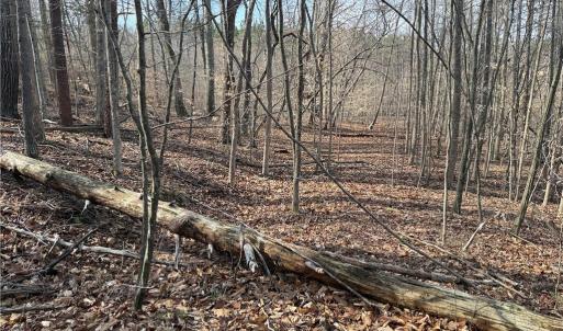 Photo #42 of 1200 Purcell, Reidsville, NC 64.9 acres