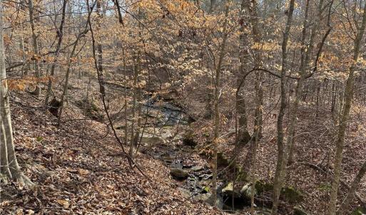 Photo #13 of 1200 Purcell, Reidsville, NC 64.9 acres