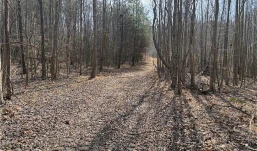 Photo #47 of 1200 Purcell, Reidsville, NC 64.9 acres