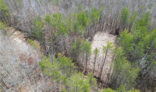 Photo #22 of 1200 Purcell, Reidsville, NC 64.9 acres