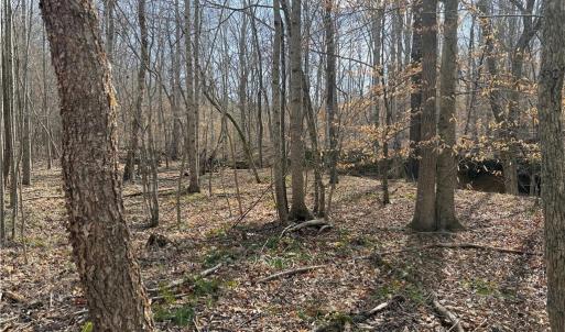 Photo #7 of 1200 Purcell, Reidsville, NC 64.9 acres