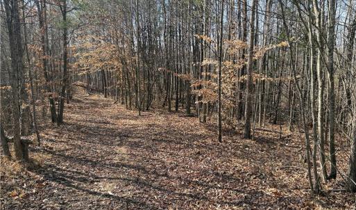 Photo #32 of 1200 Purcell, Reidsville, NC 64.9 acres