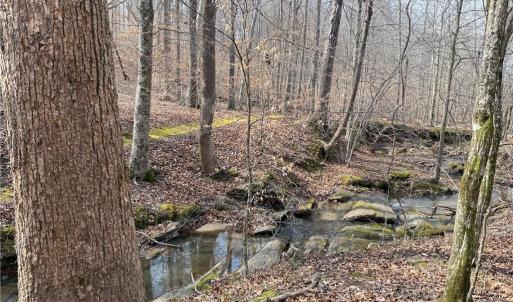 Photo #1 of 1200 Purcell, Reidsville, NC 64.9 acres