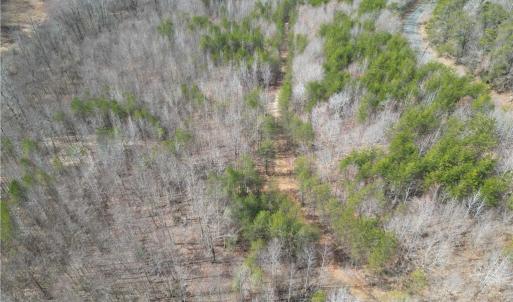 Photo #28 of 1200 Purcell, Reidsville, NC 64.9 acres