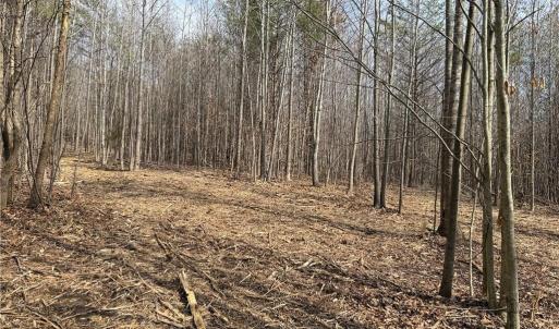 Photo #5 of 1200 Purcell, Reidsville, NC 64.9 acres