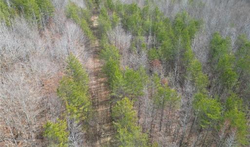 Photo #20 of 1200 Purcell, Reidsville, NC 64.9 acres