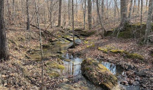 Photo #9 of 1200 Purcell, Reidsville, NC 64.9 acres