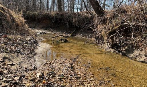 Photo #34 of 1200 Purcell, Reidsville, NC 64.9 acres