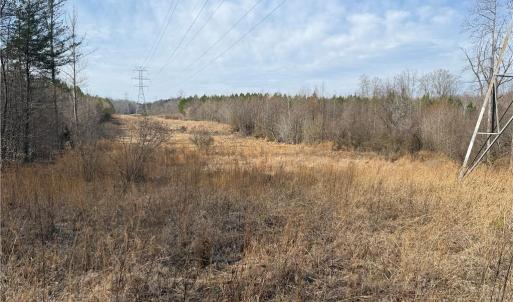 Photo #41 of 1200 Purcell, Reidsville, NC 64.9 acres