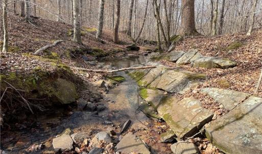 Photo #15 of 1200 Purcell, Reidsville, NC 64.9 acres