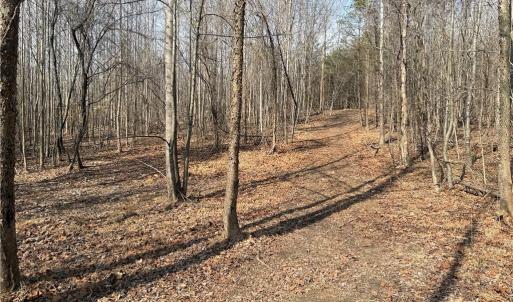 Photo #48 of 1200 Purcell, Reidsville, NC 64.9 acres