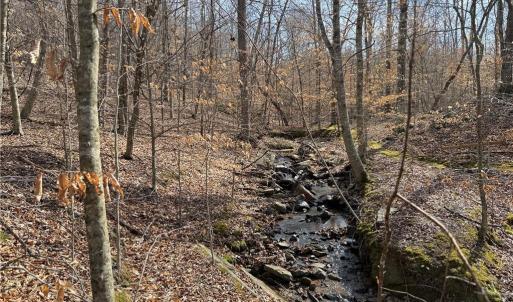 Photo #11 of 1200 Purcell, Reidsville, NC 64.9 acres