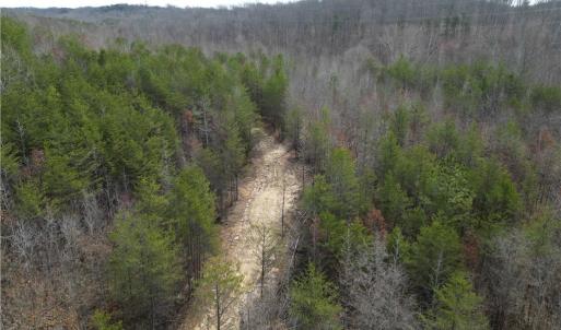 Photo #19 of 1200 Purcell, Reidsville, NC 64.9 acres