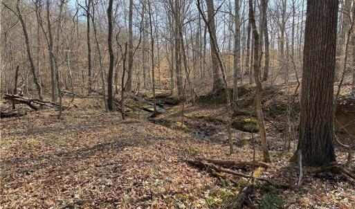 Photo #8 of 1200 Purcell, Reidsville, NC 64.9 acres