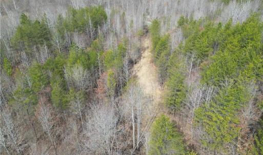 Photo #21 of 1200 Purcell, Reidsville, NC 64.9 acres
