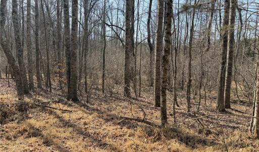 Photo #39 of 1200 Purcell, Reidsville, NC 64.9 acres