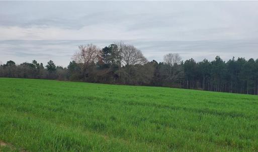 Photo #2 of 650 Farmers Market, Biscoe, NC 75.9 acres