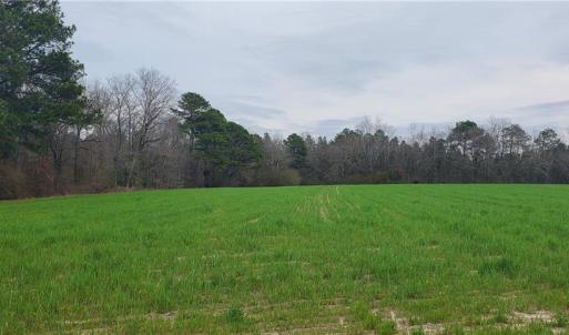 Photo #13 of 650 Farmers Market, Biscoe, NC 75.9 acres