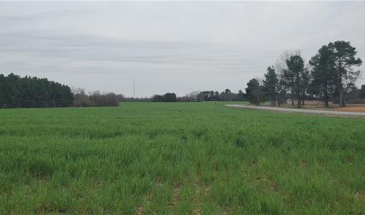 Photo #12 of 650 Farmers Market, Biscoe, NC 75.9 acres