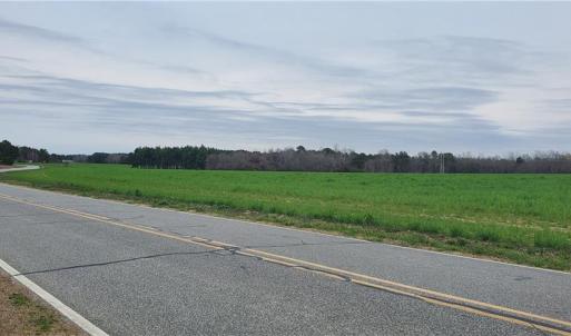 Photo #7 of 650 Farmers Market, Biscoe, NC 75.9 acres