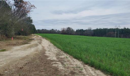 Photo #10 of 650 Farmers Market, Biscoe, NC 75.9 acres