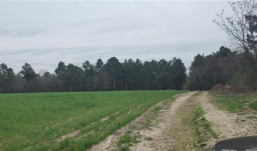 Photo #14 of 650 Farmers Market, Biscoe, NC 75.9 acres