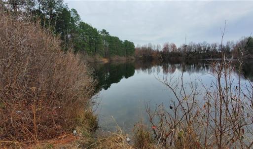 Photo #18 of 650 Farmers Market, Biscoe, NC 75.9 acres