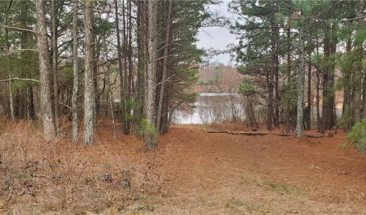 Photo #15 of 650 Farmers Market, Biscoe, NC 75.9 acres