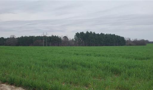 Photo #11 of 650 Farmers Market, Biscoe, NC 75.9 acres