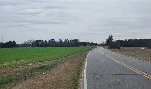 Photo #4 of 650 Farmers Market, Biscoe, NC 75.9 acres