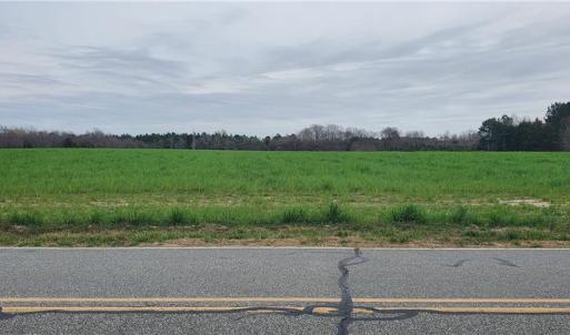 Photo #8 of 650 Farmers Market, Biscoe, NC 75.9 acres