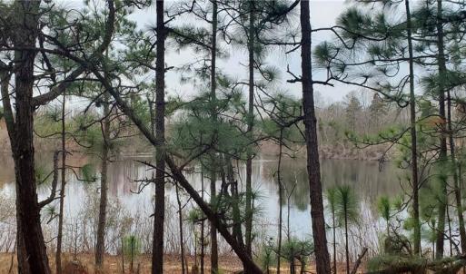 Photo #21 of 650 Farmers Market, Biscoe, NC 75.9 acres