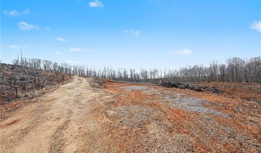 Photo #3 of HOLDER INMAN, Randleman, NC 12.6 acres