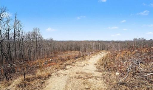 Photo #5 of HOLDER INMAN, Randleman, NC 12.6 acres