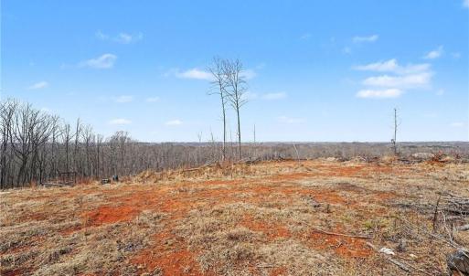 Photo #10 of HOLDER INMAN, Randleman, NC 12.6 acres