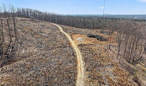 Photo #18 of HOLDER INMAN, Randleman, NC 12.6 acres