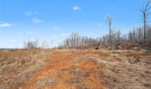 Photo #11 of HOLDER INMAN, Randleman, NC 12.6 acres