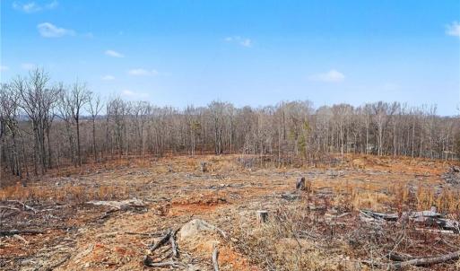 Photo #4 of HOLDER INMAN, Randleman, NC 12.6 acres