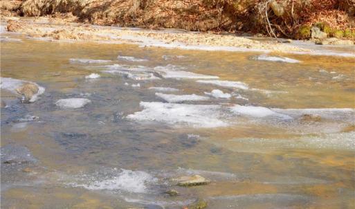 Photo #23 of 5-6 Roby Fulk, Pinnacle, NC 20.2 acres