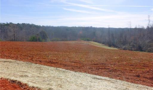 Photo #20 of 5-6 Roby Fulk, Pinnacle, NC 20.2 acres