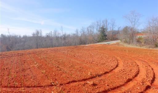 Photo #21 of 5-6 Roby Fulk, Pinnacle, NC 20.2 acres