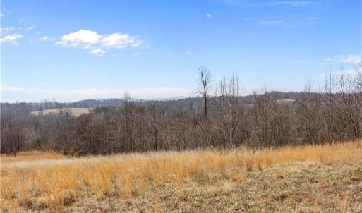 Photo #12 of Moir Farm, Lawsonville, NC 62.9 acres
