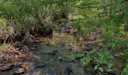 Beautiful creek through the property!