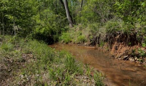 Photo #7 of Moir Farm, Lawsonville, NC 62.9 acres