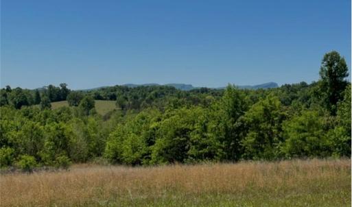 Perfect location to build your dream home!
