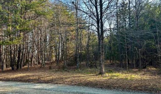 Photo #3 of 11.05 ACRES Elmore, Leasburg, NC 11.1 acres