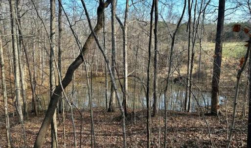 Photo #2 of 11.05 ACRES Elmore, Leasburg, NC 11.1 acres