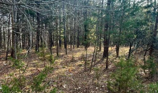 Photo #4 of 11.05 ACRES Elmore, Leasburg, NC 11.1 acres