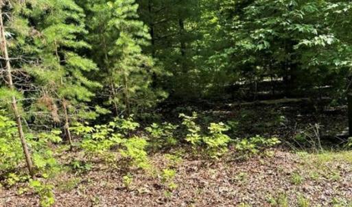 Photo #1 of Lot 22 Woods Haven, Stuart, VA 0.7 acres