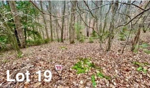 Photo #1 of LOT 19 Woods Haven, Stuart, VA 0.6 acres